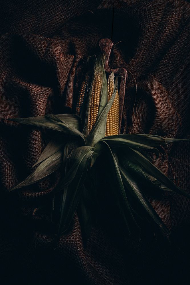 Photograph by Аделина Байбуриева