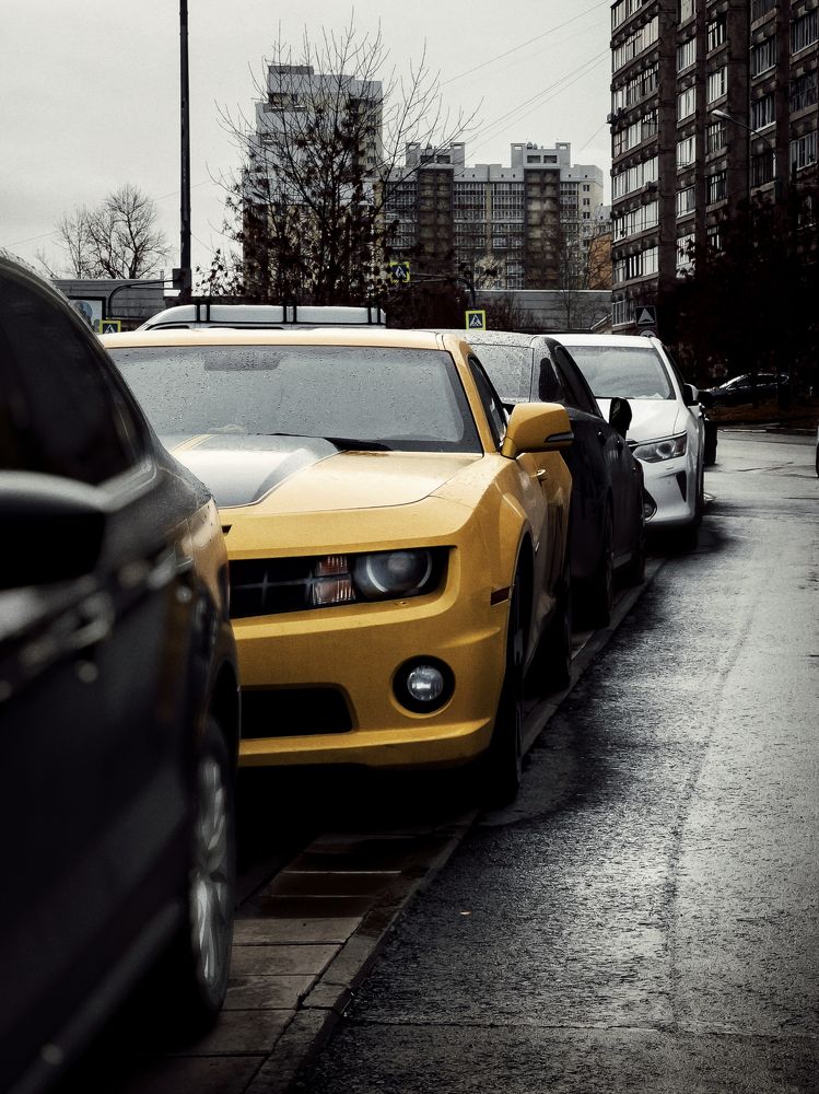 Photograph by Margachev Aleksandr