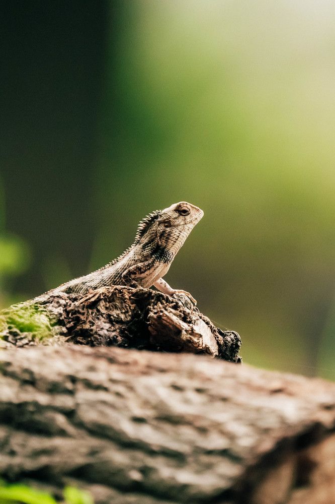 Фотография автора Arpit Dhore