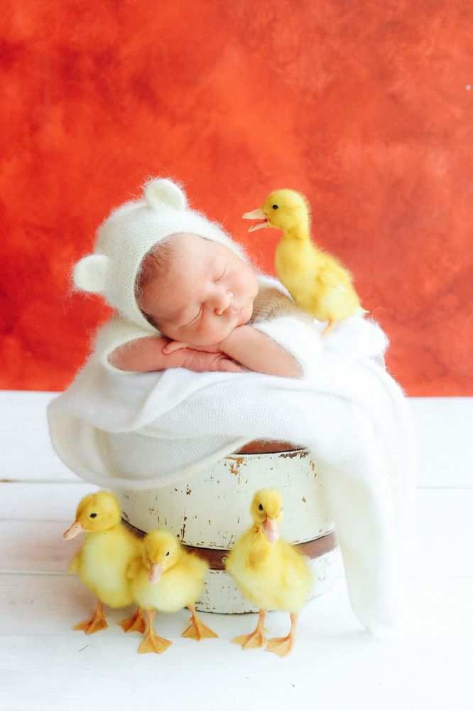 Photograph by Ольга Быкова