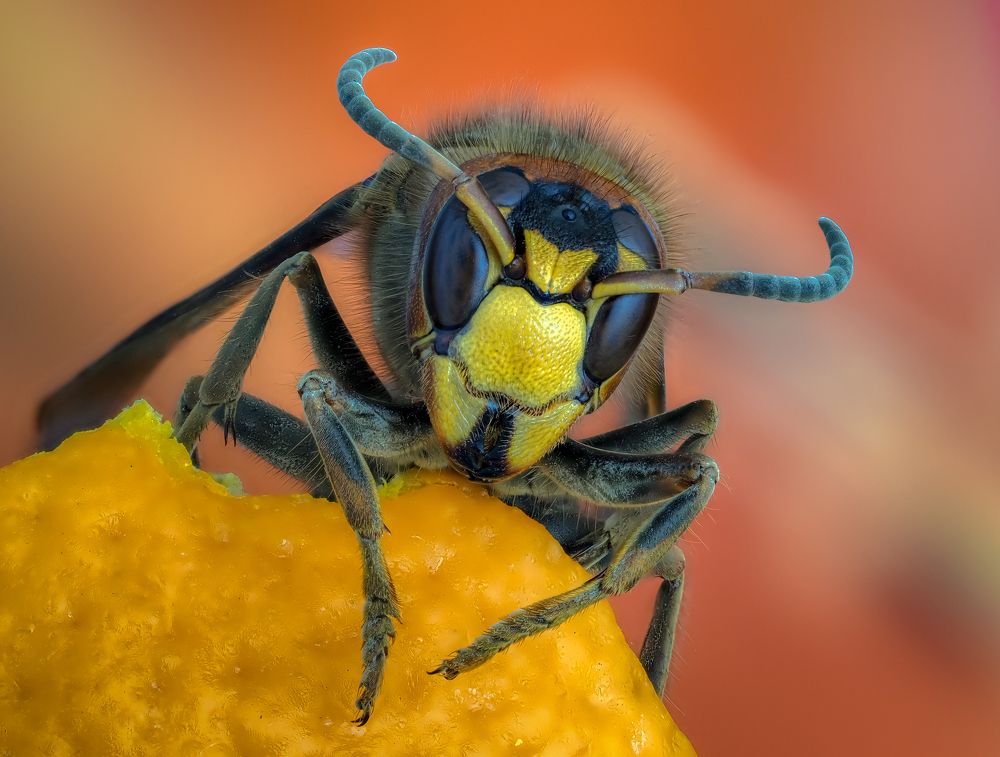 Photograph by савицкий олег