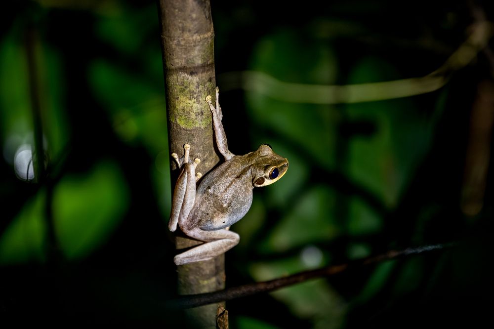 Photograph by Андрей Зуев