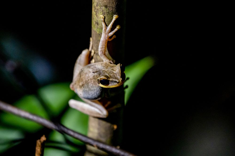 Photograph by Андрей Зуев