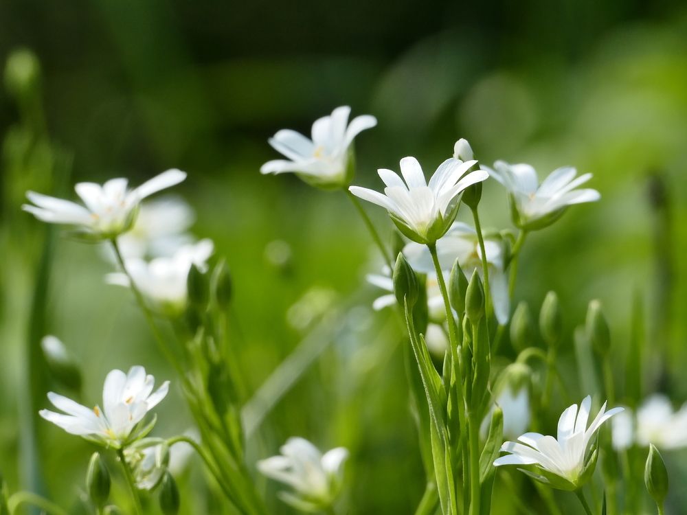 Photograph by Александр Кизим