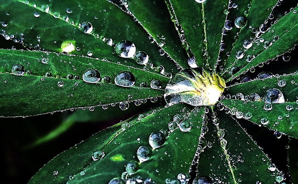 Photograph by 