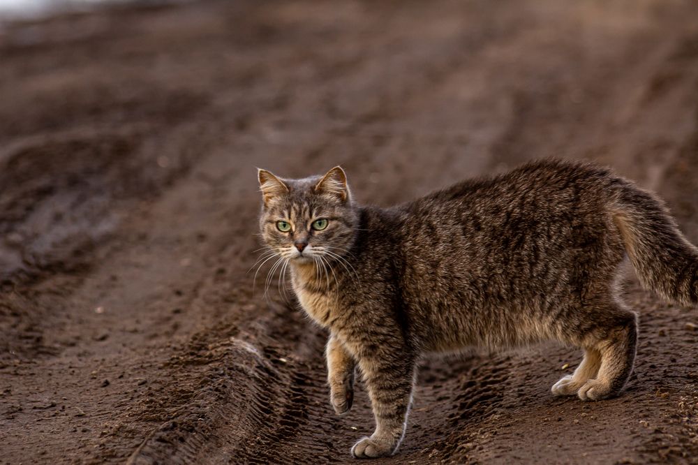 Photograph by Алексей