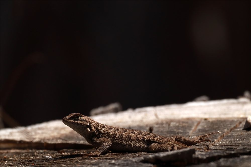 Photograph by Евгений Власов