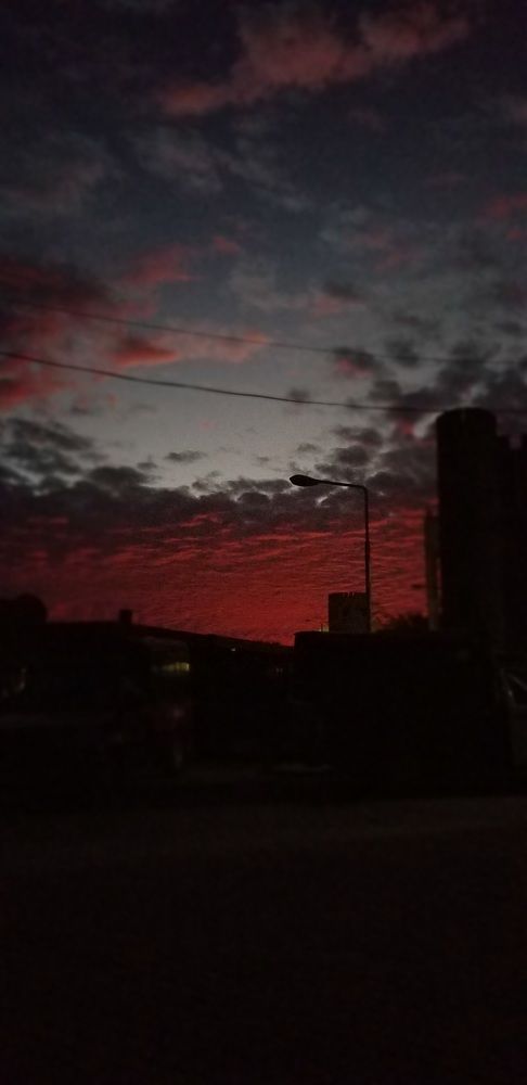 Photo #9135787