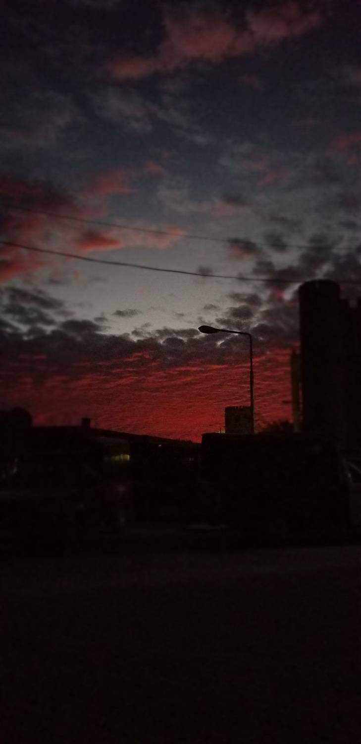 Photo #9135787