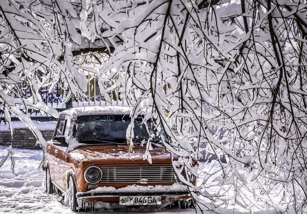 Photograph by Алишер Холматов