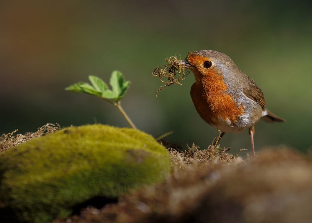 Photograph by Марат Кучкаев