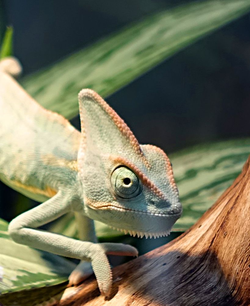 Photograph by Александр Семенов