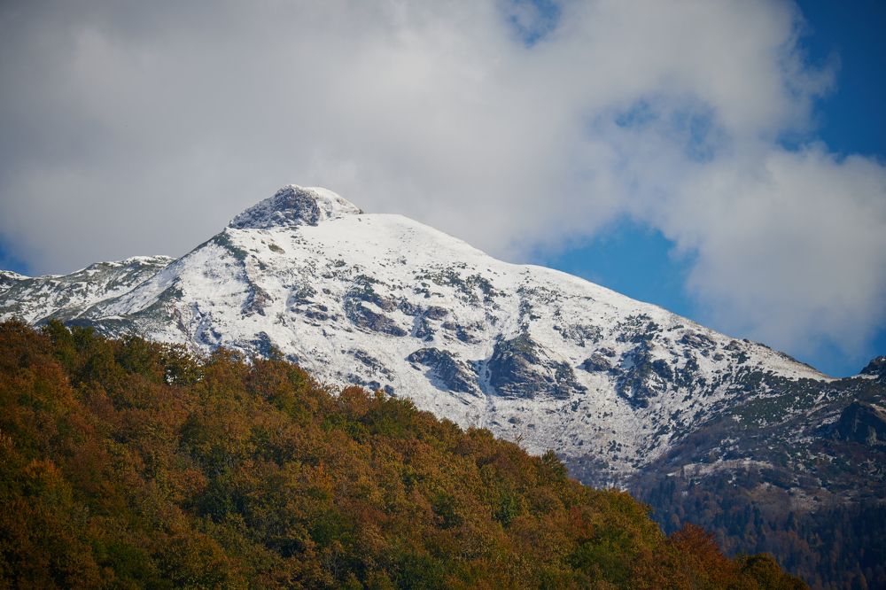 Фотография автора Александр Жданов