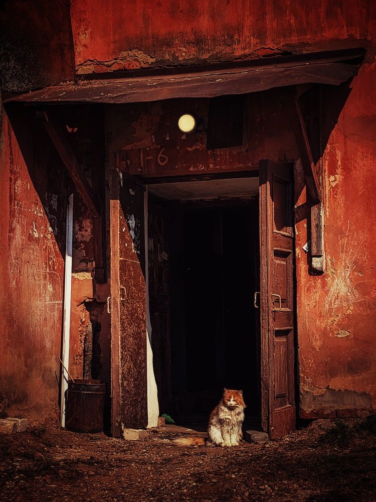 Photograph by Алексей Худяков