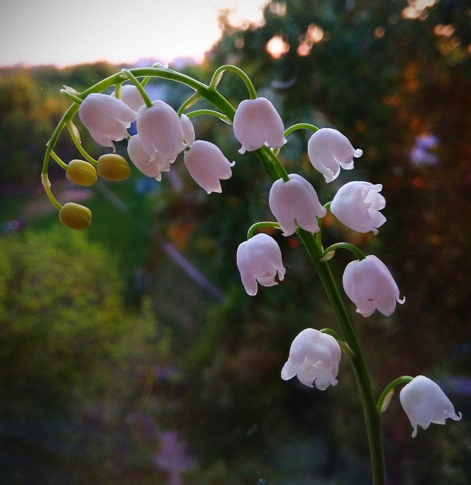 Photograph by Татьяна Кунц