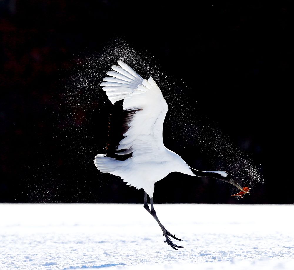 Photograph by Гудков Андрей