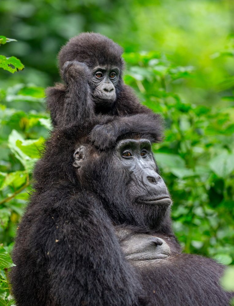 Photograph by Гудков Андрей