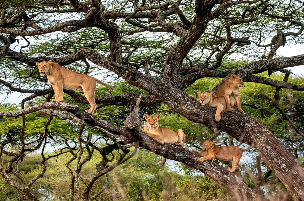 Photograph by Гудков Андрей