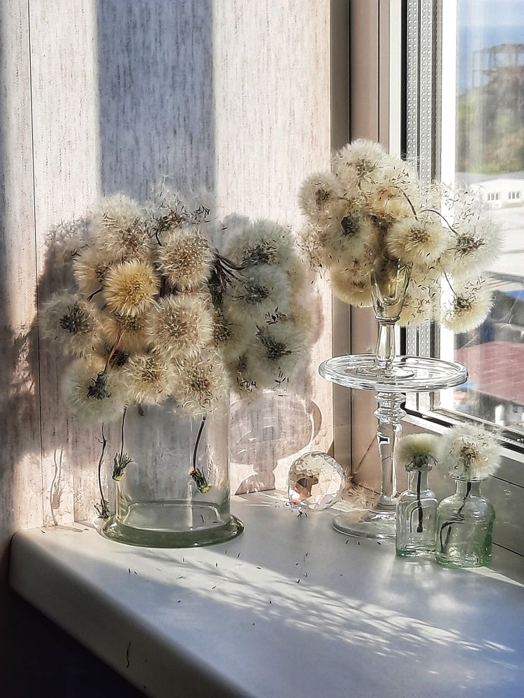 Photograph by Галина Оспищева