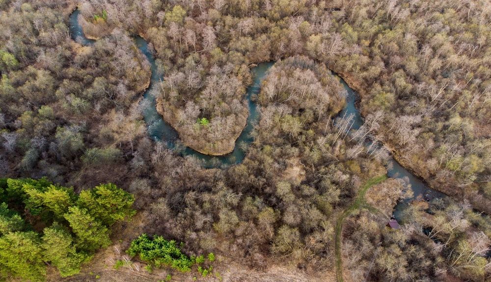 Фотография автора Михаил Кузнецов
