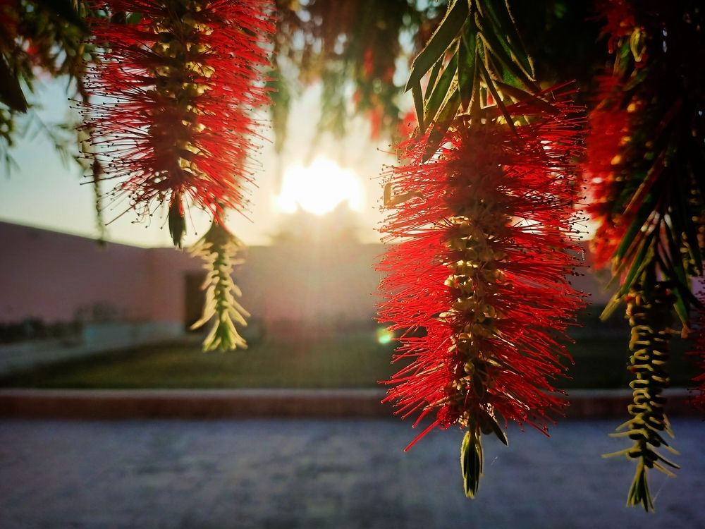Photograph by usama albalooshi