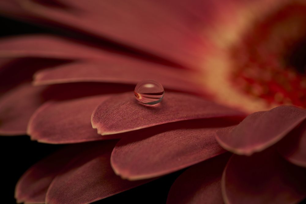 Photograph by Руфат Лажанский