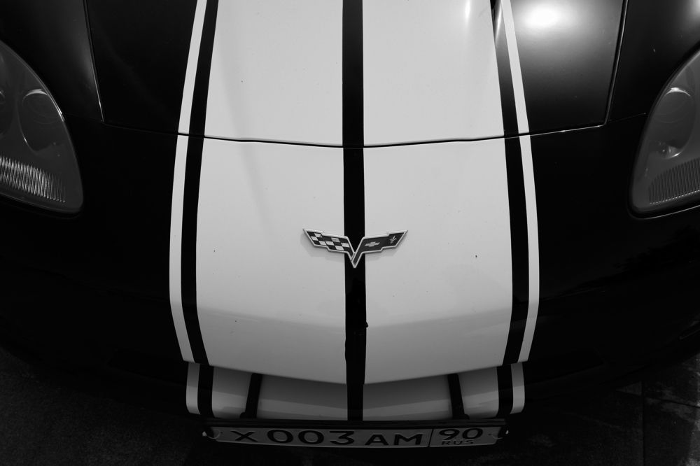 Фотография автора Александр Жданов