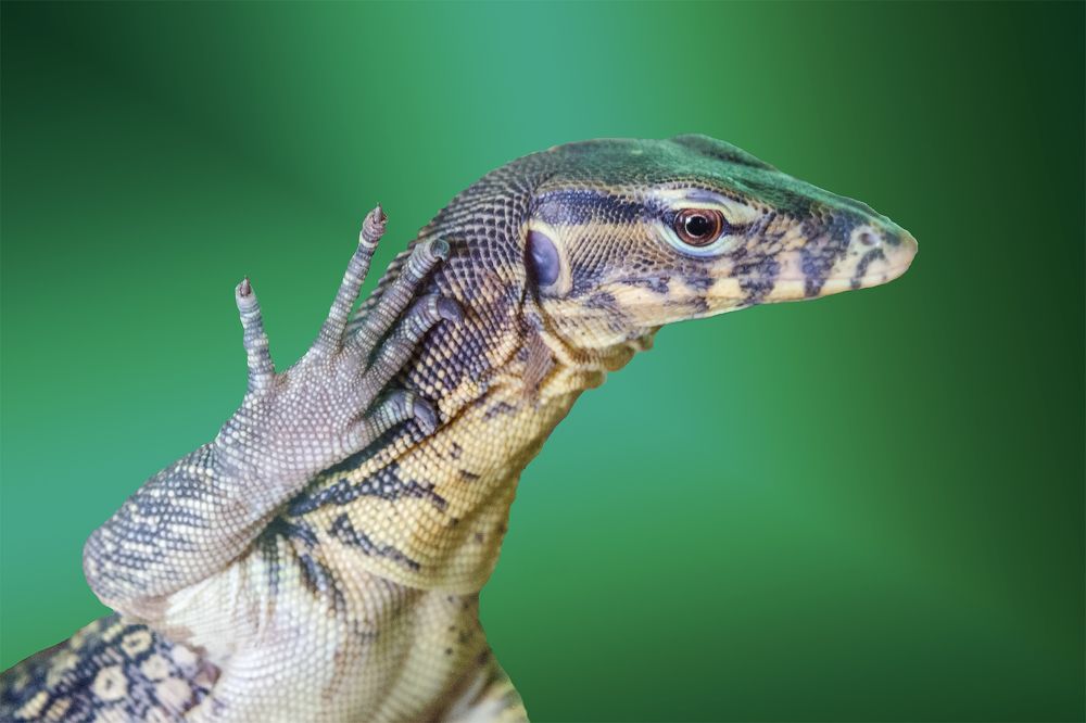 Photograph by Клясюк Галина