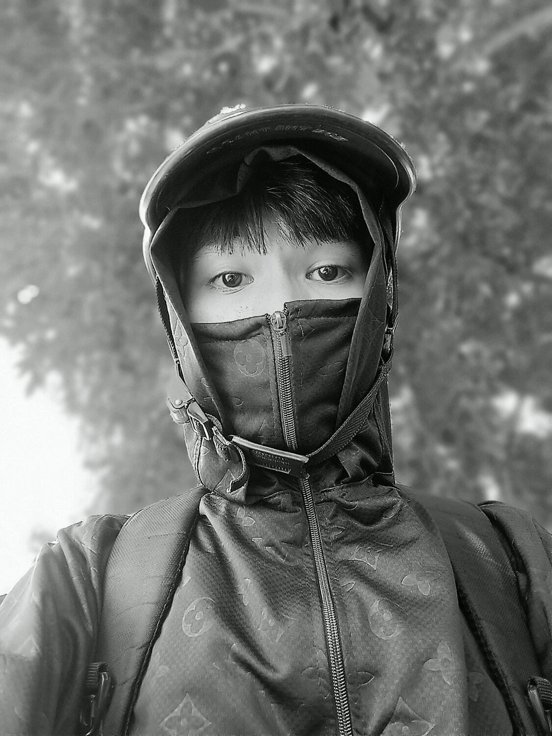 Photo #9136597