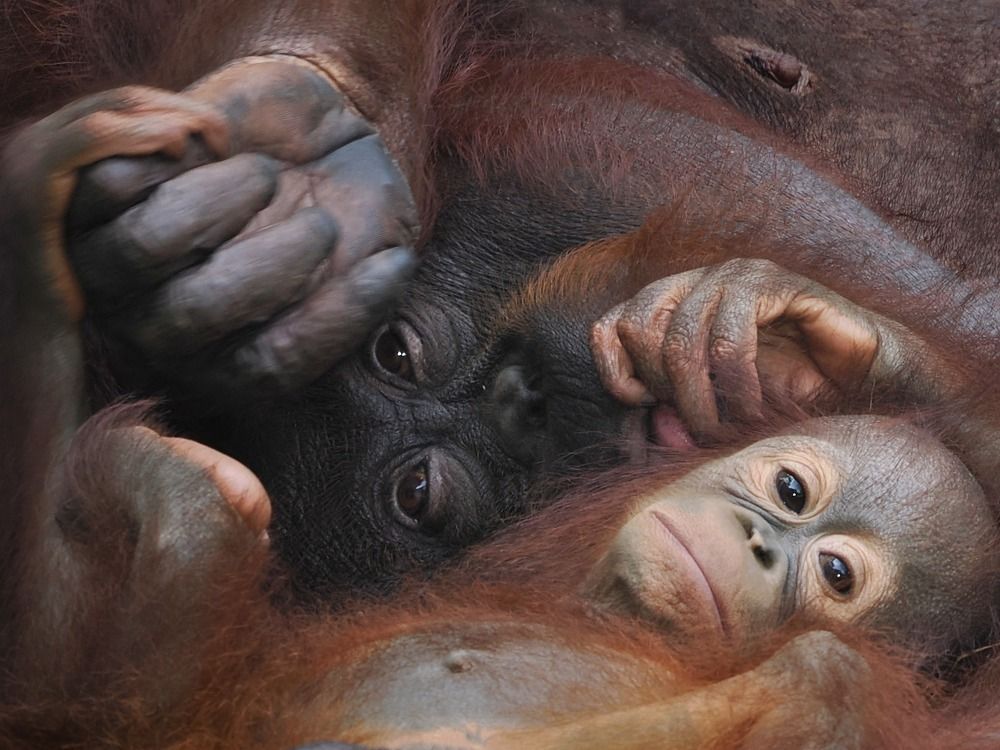 Photograph by Asa Satria Said