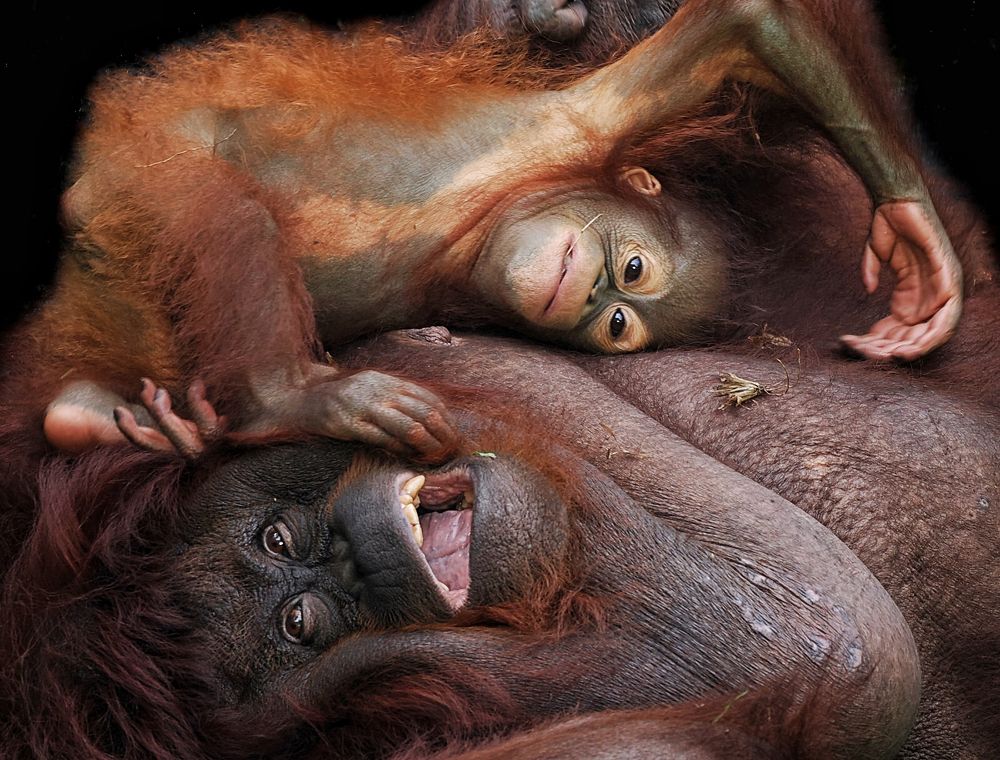 Photograph by Asa Satria Said