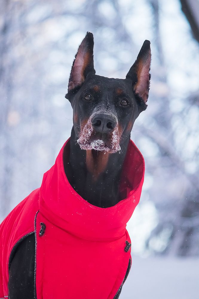 Photograph by Виктория Мамаева