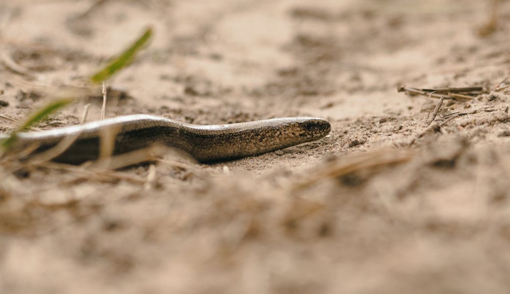 Photograph by Виталий Богачев