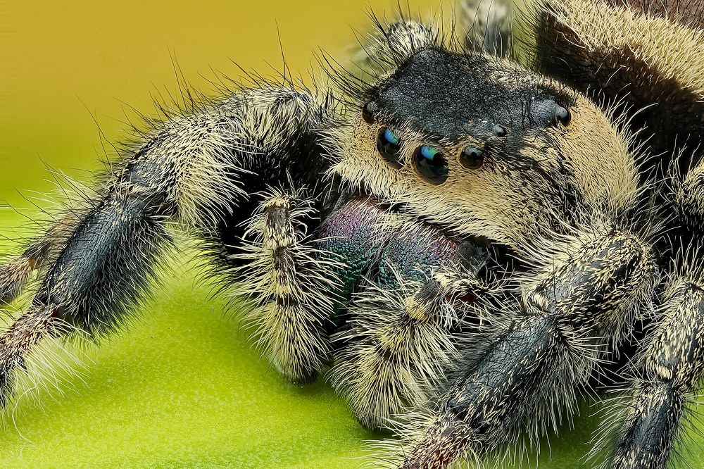 Photograph by Jacob Ng