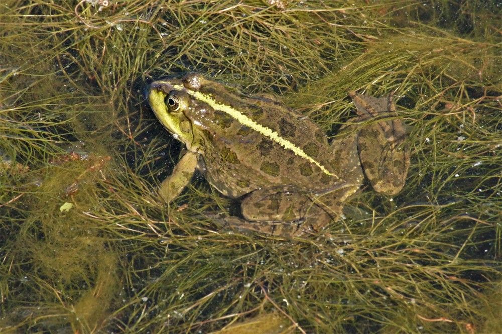 Photograph by Елизавета Корнилова