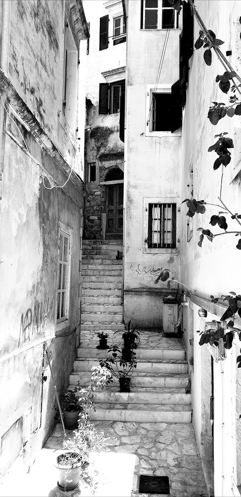 Photograph by Viktorova