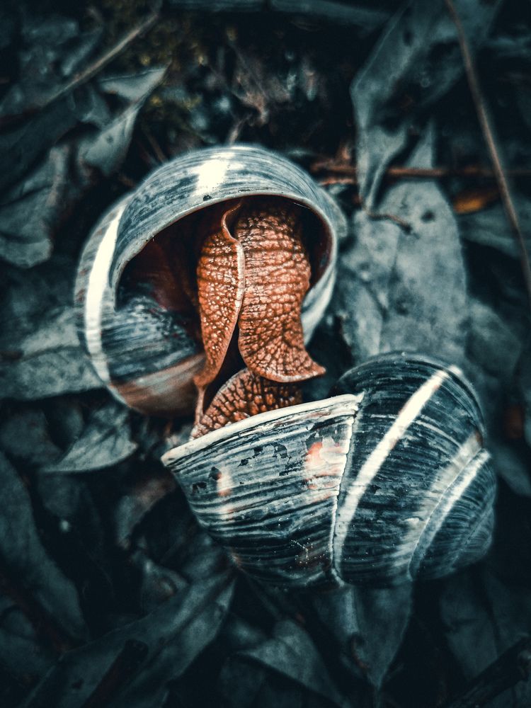 Фотография автора Вазген Бояджян