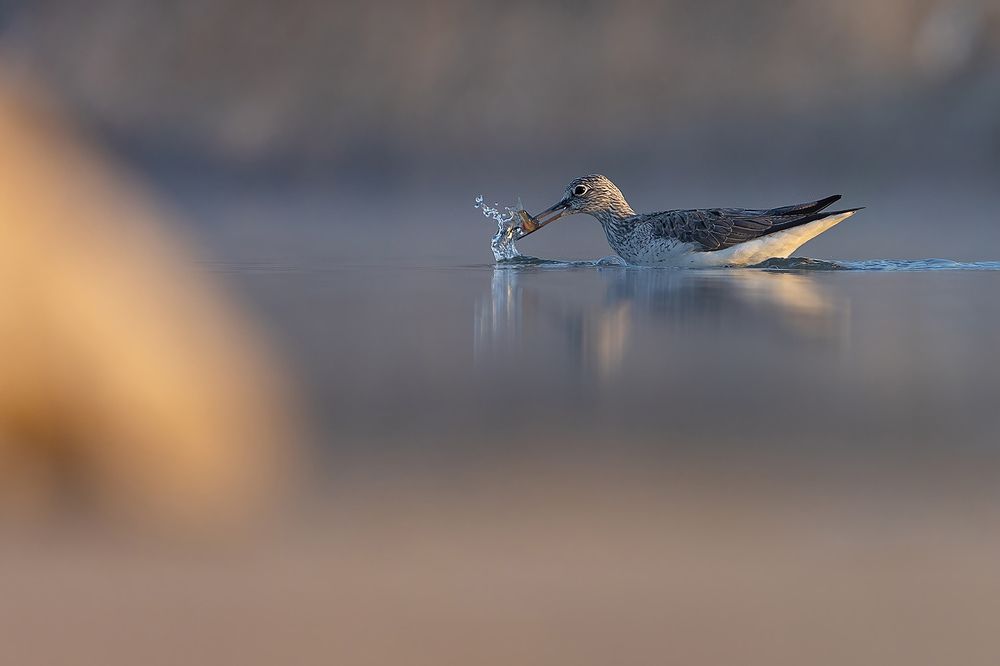 Photograph by Petar Bogdanov