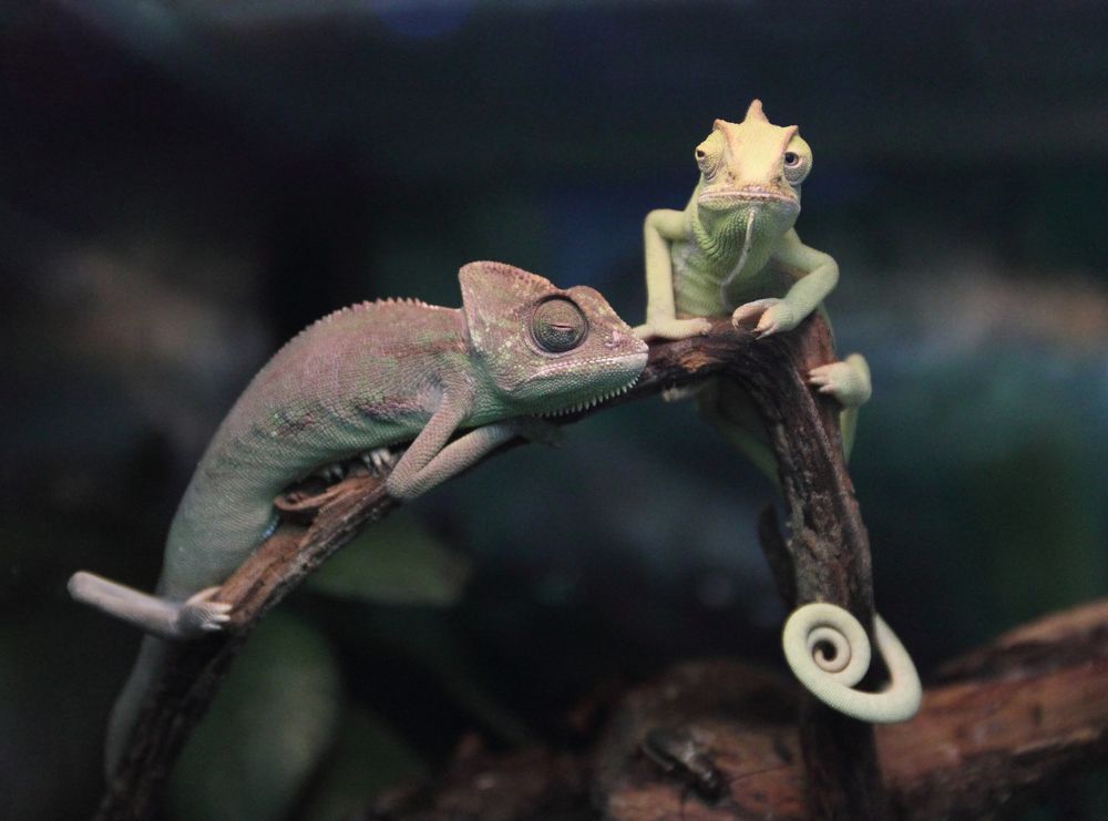 Фотография автора Кухта Мария