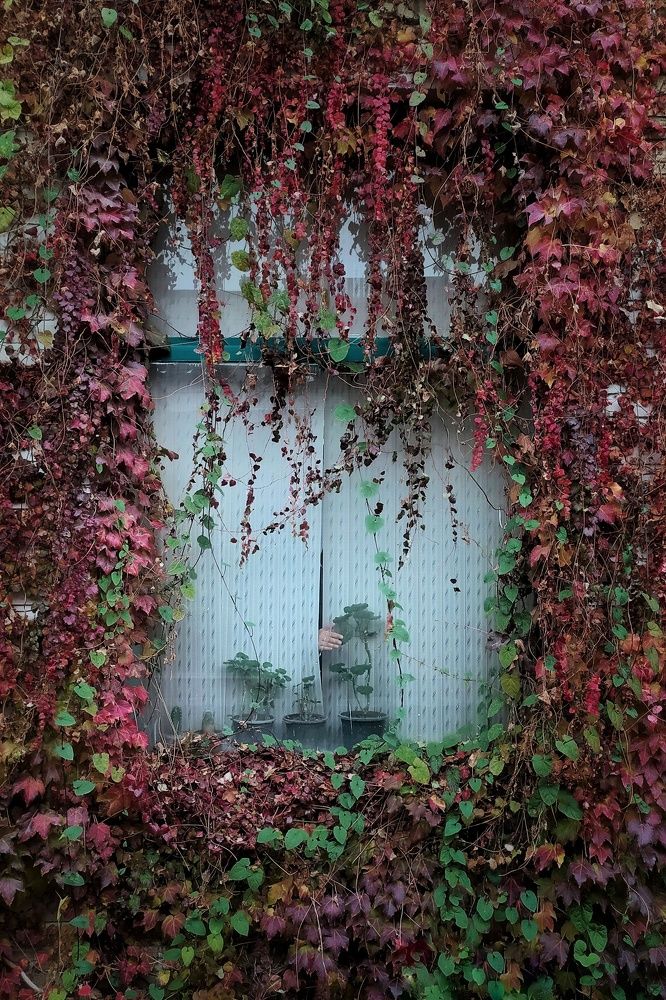 Photograph by Soroush Karimi