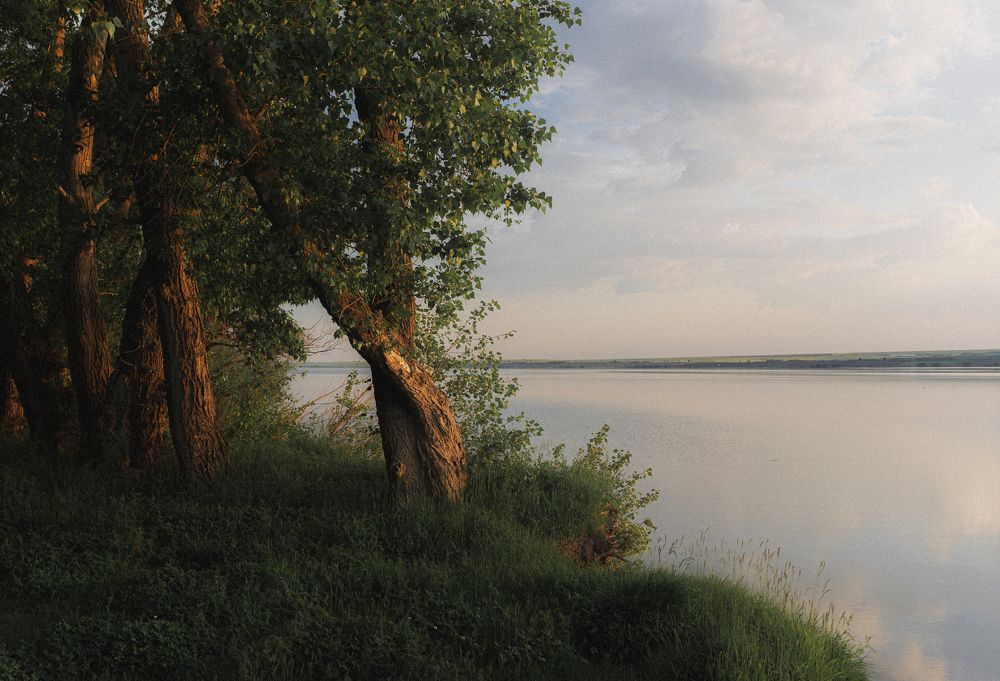 Фотография автора Oleg Suhenko