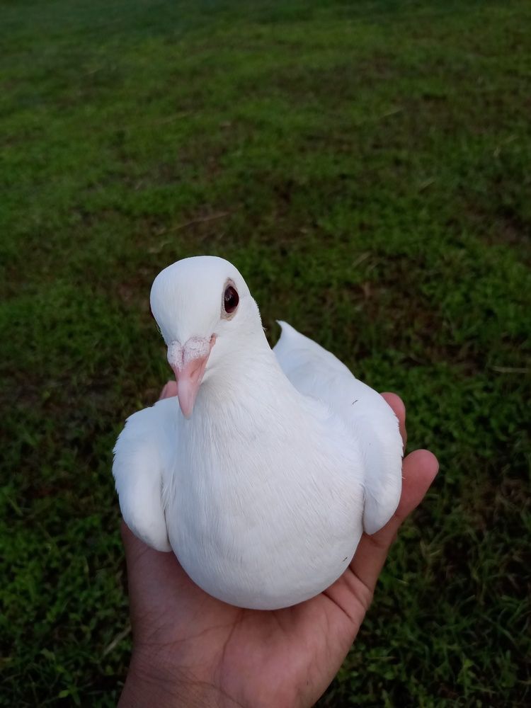 Photograph by Mark Malicdem