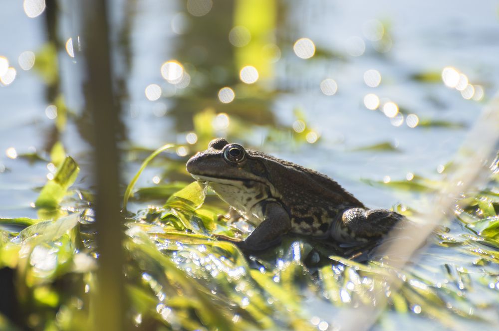 Photograph by Артем Шумов