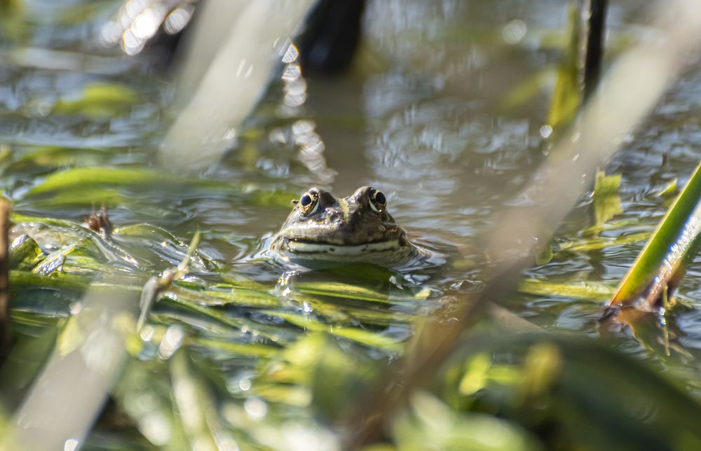 Photograph by Артем Шумов