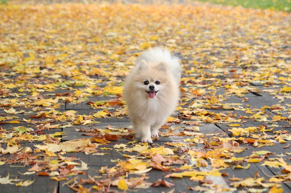 Photograph by Полина Зайцева