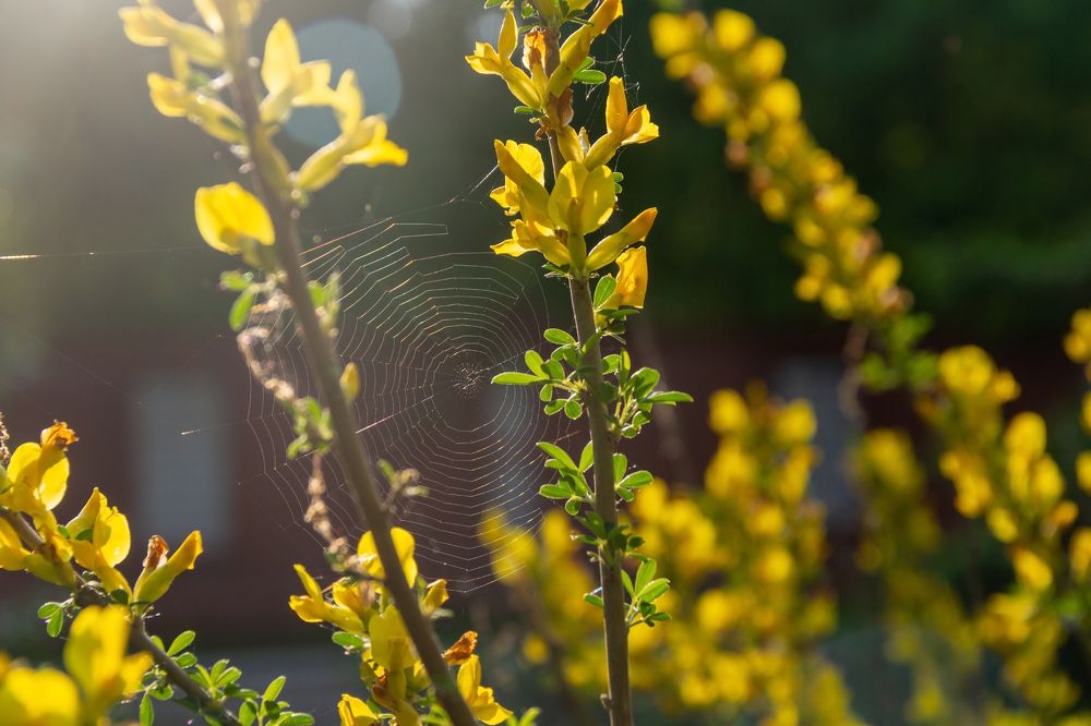 Photograph by Алексей