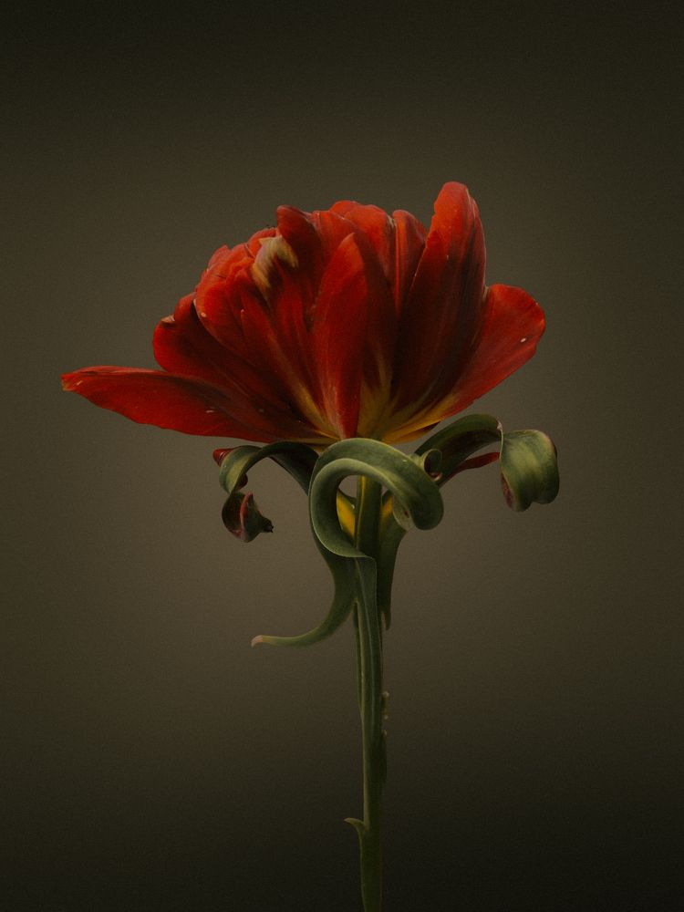 Photograph by Андрей Васильев