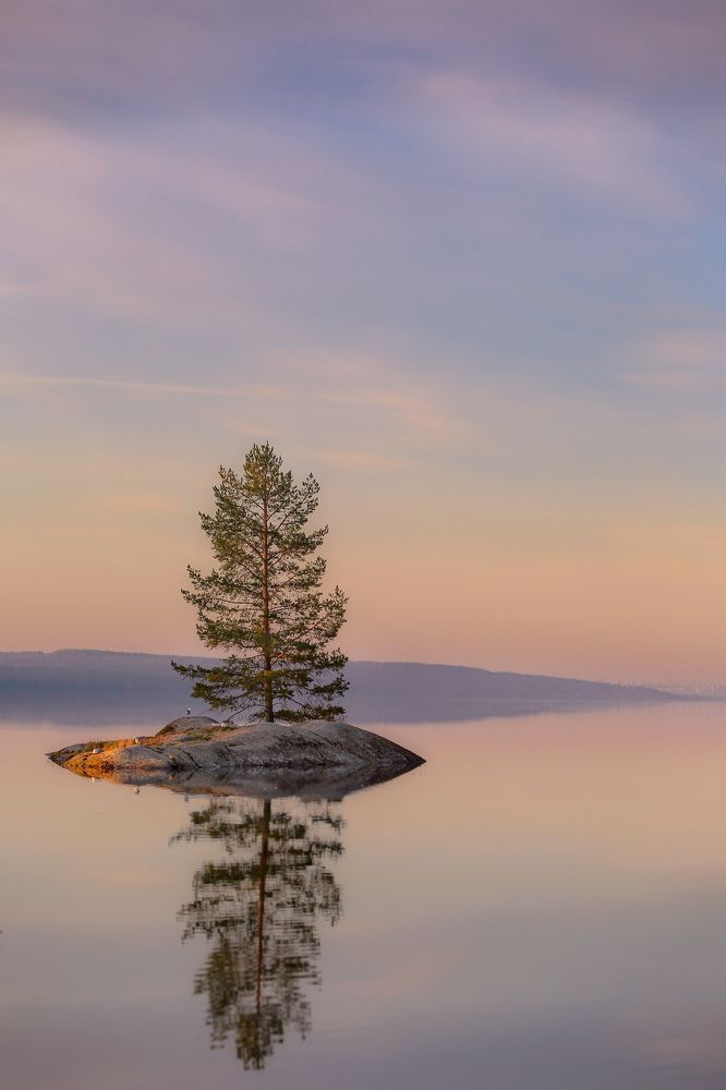 Photograph by Дмитрий Петухов