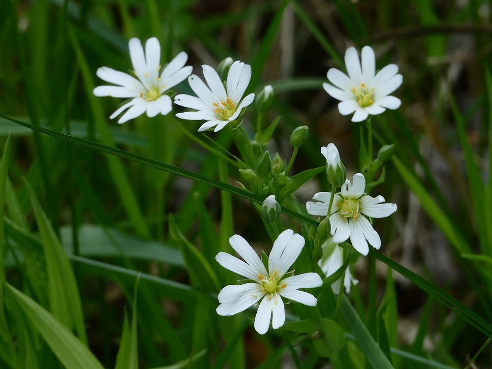 Photograph by Александр Кизим