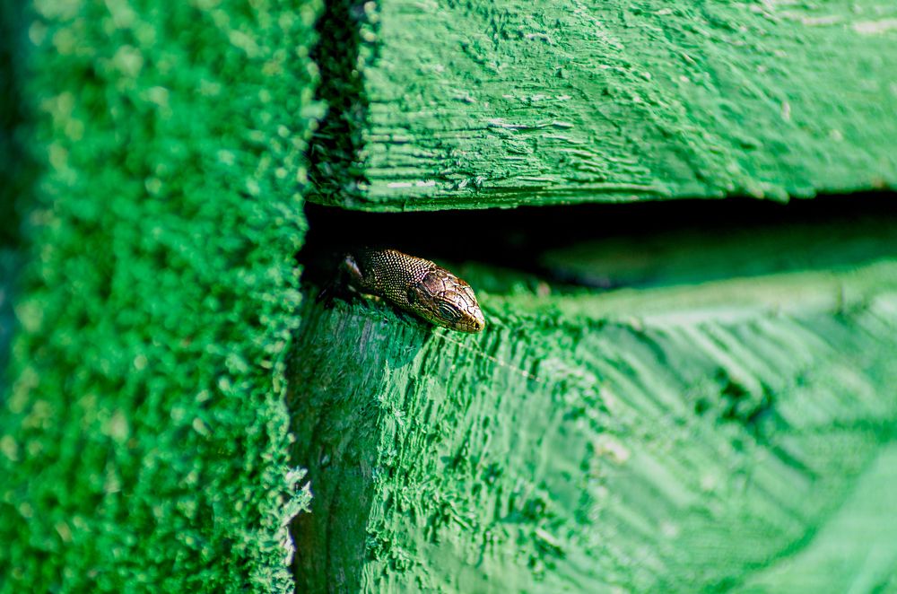 Photograph by Денис Кичев